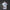 Real Madrid Home Jersey 2026/27 — Fan Version