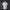 Real Madrid Home Jersey 2026/27 — Fan Version