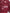 LFC HOME JERSEY 2026 PLAYER VERSION