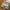 New Summer Men Mesh Gym Bodybuilding Casual Loose Shorts Joggers outdoors fitness beach Short Pants Male Brand Sweatpant M-5XL